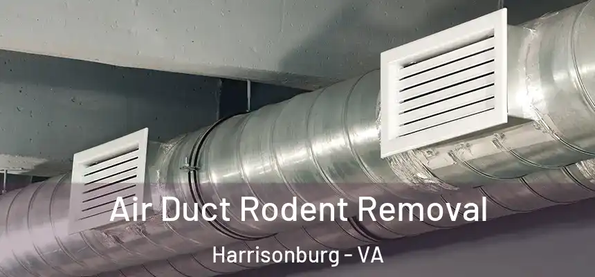  Air Duct Rodent Removal Harrisonburg - VA