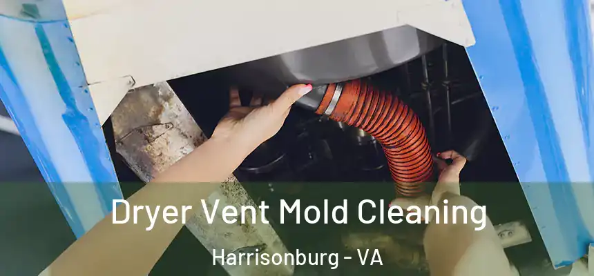  Dryer Vent Mold Cleaning Harrisonburg - VA