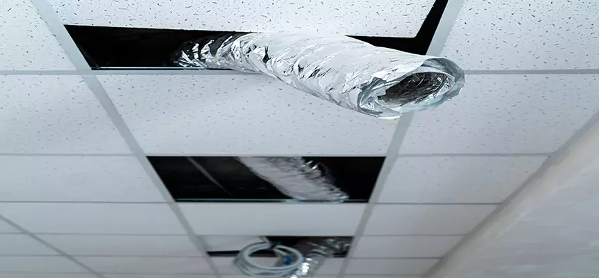 Our Air Duct Pet Hair Removal Services in Harrisonburg, VA