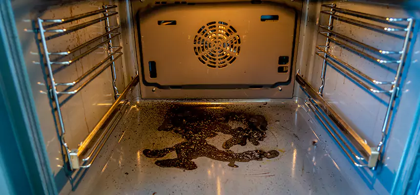 Our Dryer Vent Mold Cleaning Services in Harrisonburg, VA