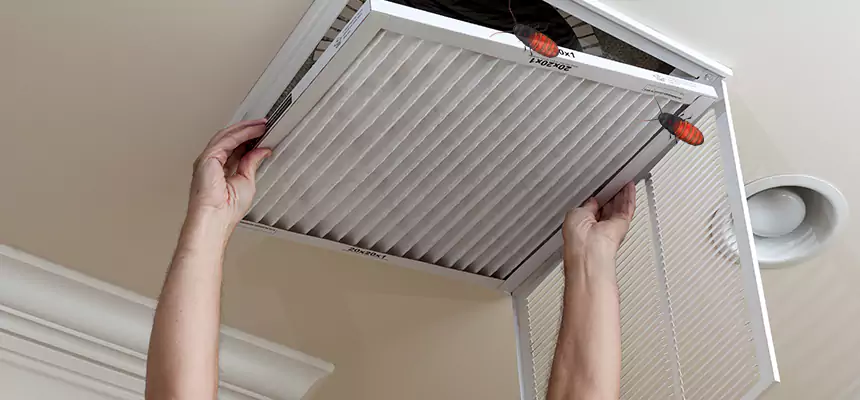 Our Insect Removal from Air Ducts Services in Harrisonburg, VA