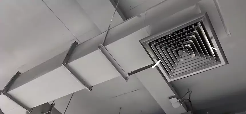 Our Pest Removal From Ducts Services in Harrisonburg, VA