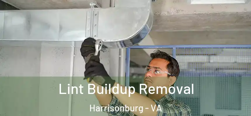  Lint Buildup Removal Harrisonburg - VA