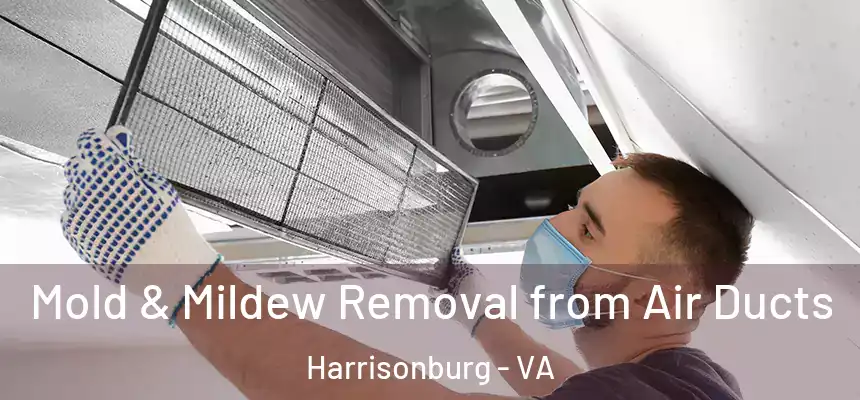  Mold & Mildew Removal from Air Ducts Harrisonburg - VA