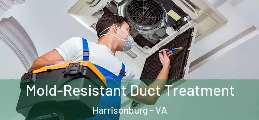  Mold-Resistant Duct Treatment Harrisonburg - VA