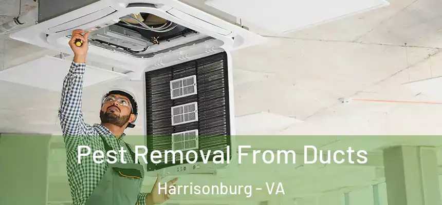  Pest Removal From Ducts Harrisonburg - VA