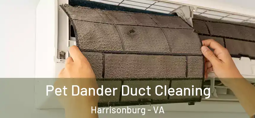  Pet Dander Duct Cleaning Harrisonburg - VA