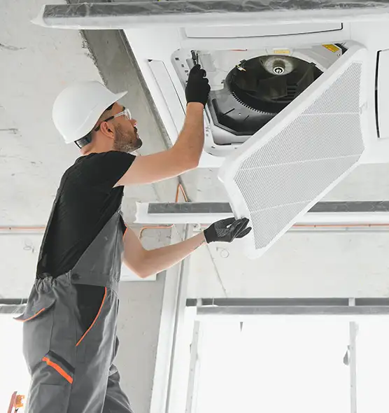 About Air Duct Rodent Removal in Harrisonburg, VA