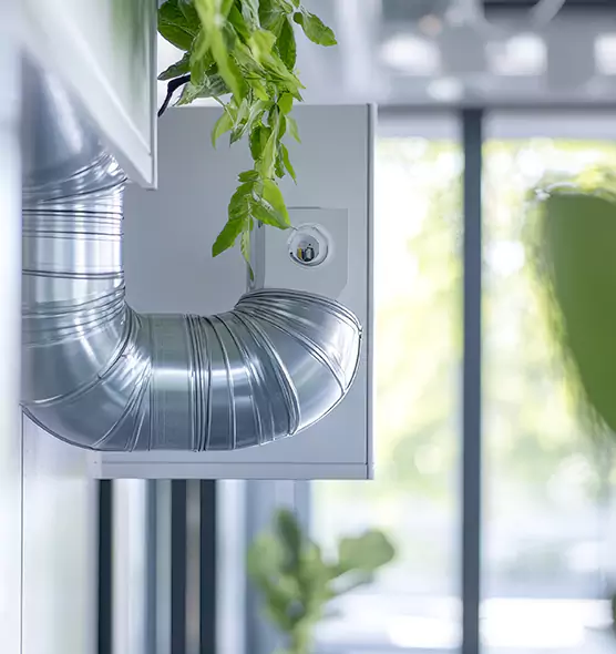 Professional Eco-Safe Dryer Vent Cleaning in Harrisonburg, VA