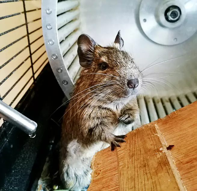 Why Homeowners & Businesses Trust Us Harrisonburg, VA