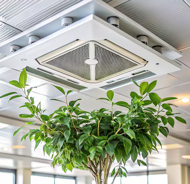 Why Homeowners & Businesses Trust Us in Harrisonburg, VA?