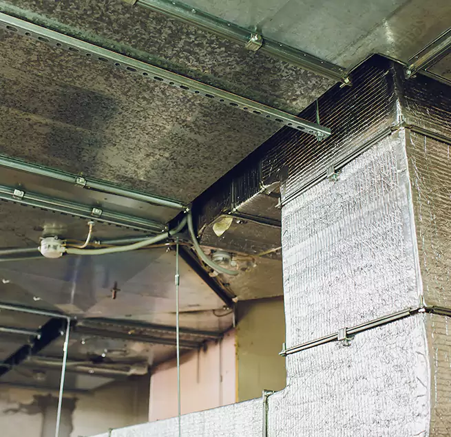 Why Homeowners & Businesses Trust Us in Harrisonburg, VA?